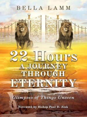 cover image of 22 Hours